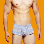 Underwear Low Rise Sexy Plaid Home Boxer Briefs