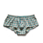 Underwear Low Rise Sexy Plaid Home Boxer Briefs