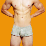 Underwear Low Rise Sexy Plaid Home Boxer Briefs